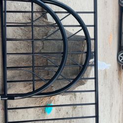 Metal Twin Bed Frame 