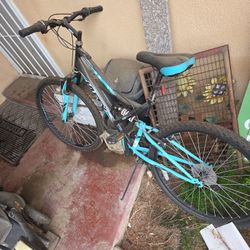 Trail Blazer Women Bike