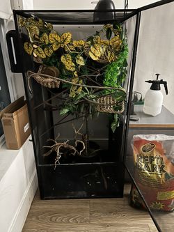 Reptile Terrarium (full Setup)