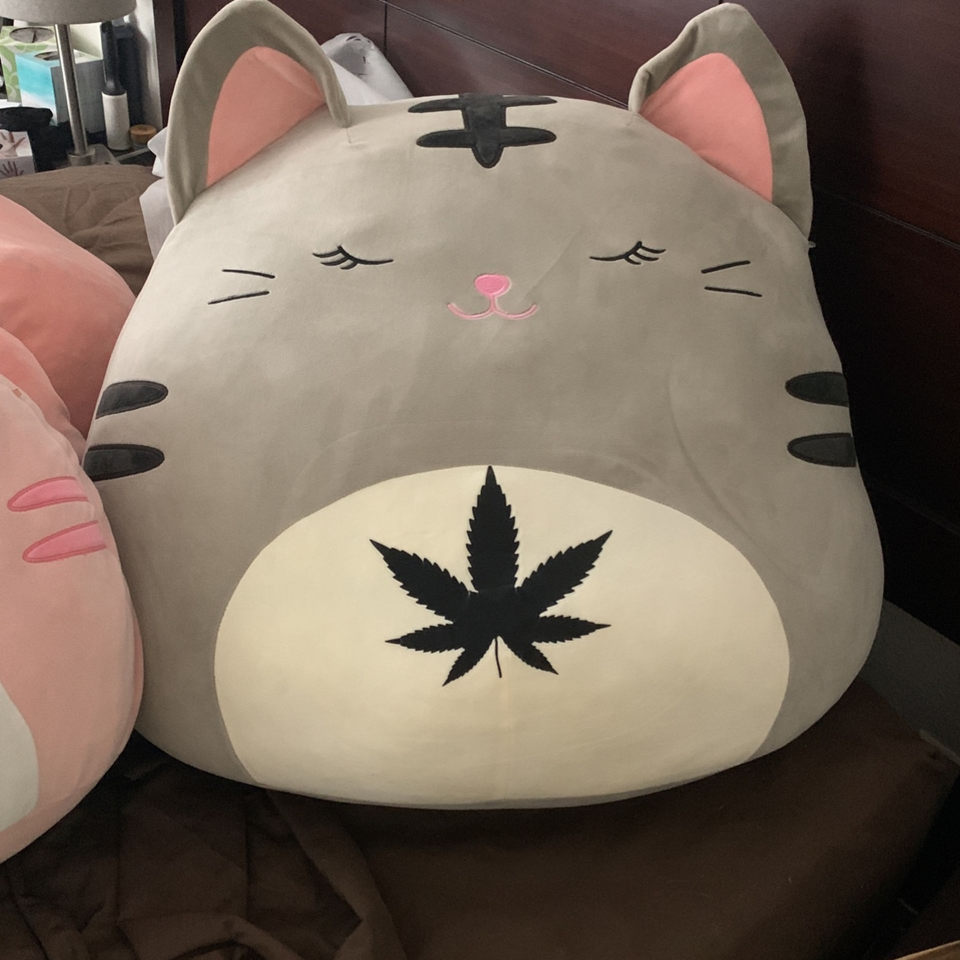 Jumbo 24in Squishmallow Cat