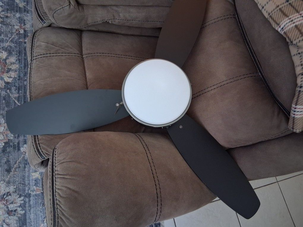 Fan