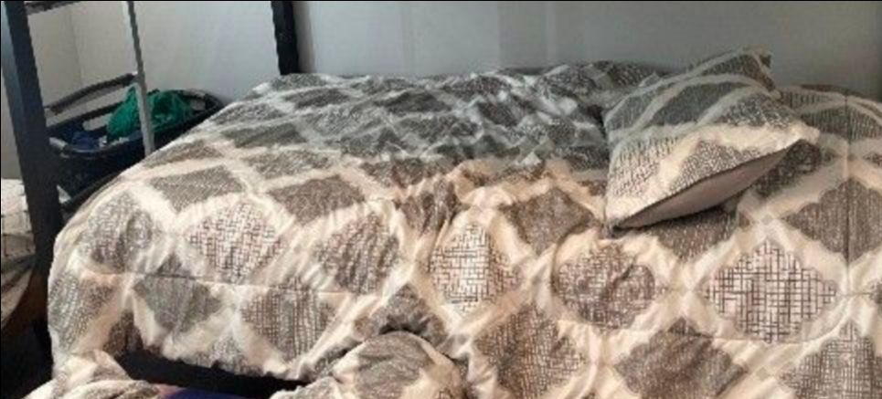 2 Twin Comforters with Shams