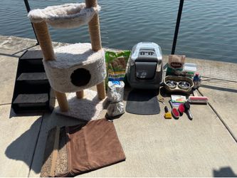 Cat Starter Kit – Cat Tree, Stairs, Litter Box, Grooming & Supplies!