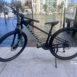 Specialized Rockhopper Mountain Bike