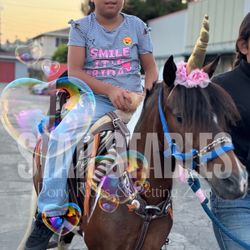 Party With A Pony Petting Zoo 