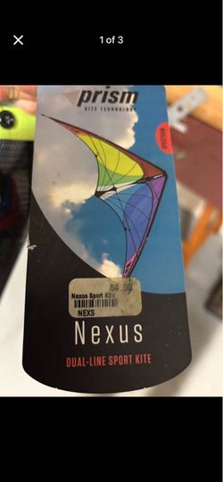 Nexus dual-line sports kite