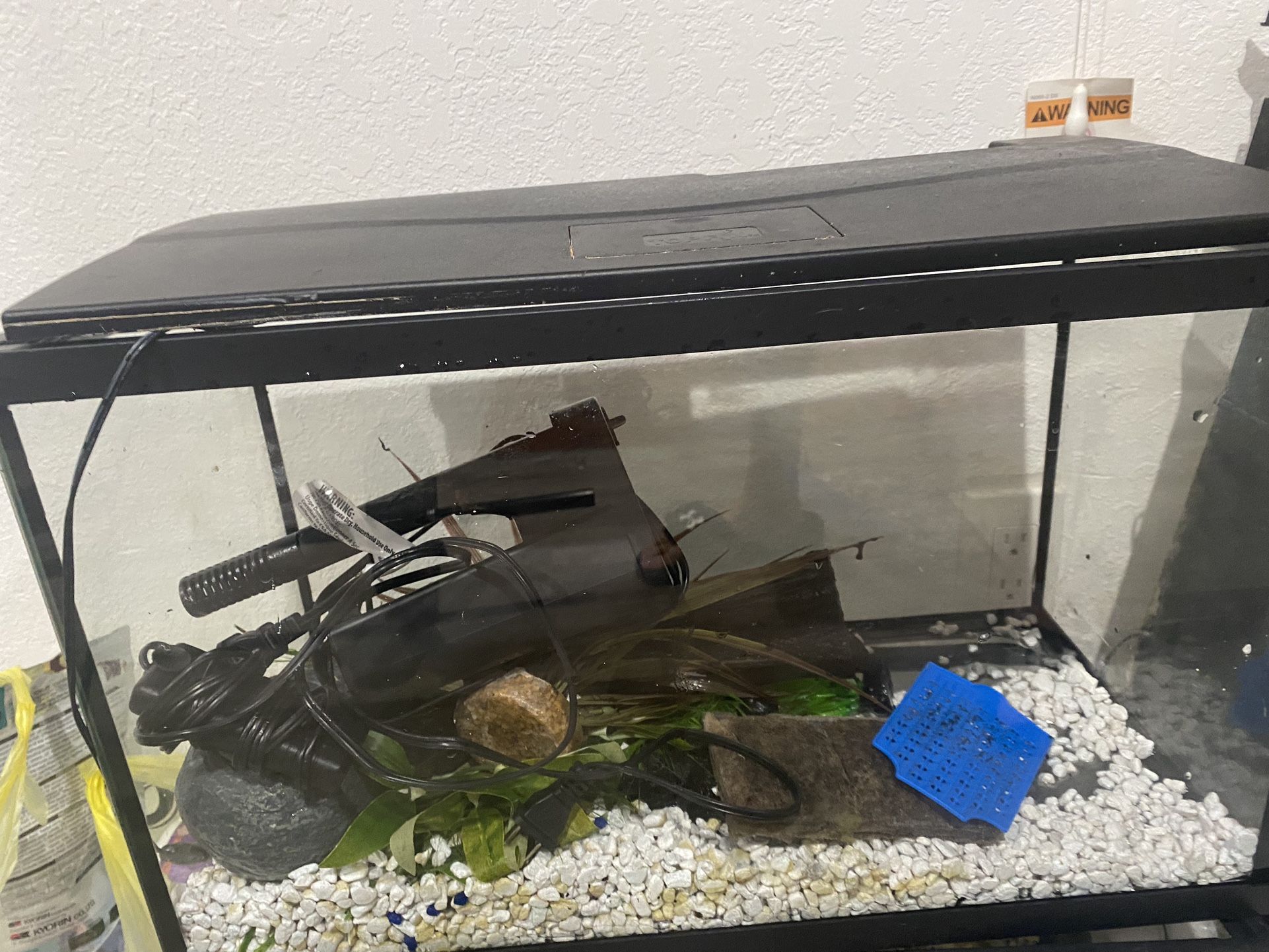 10 Gallon Fishtank Ready To Go