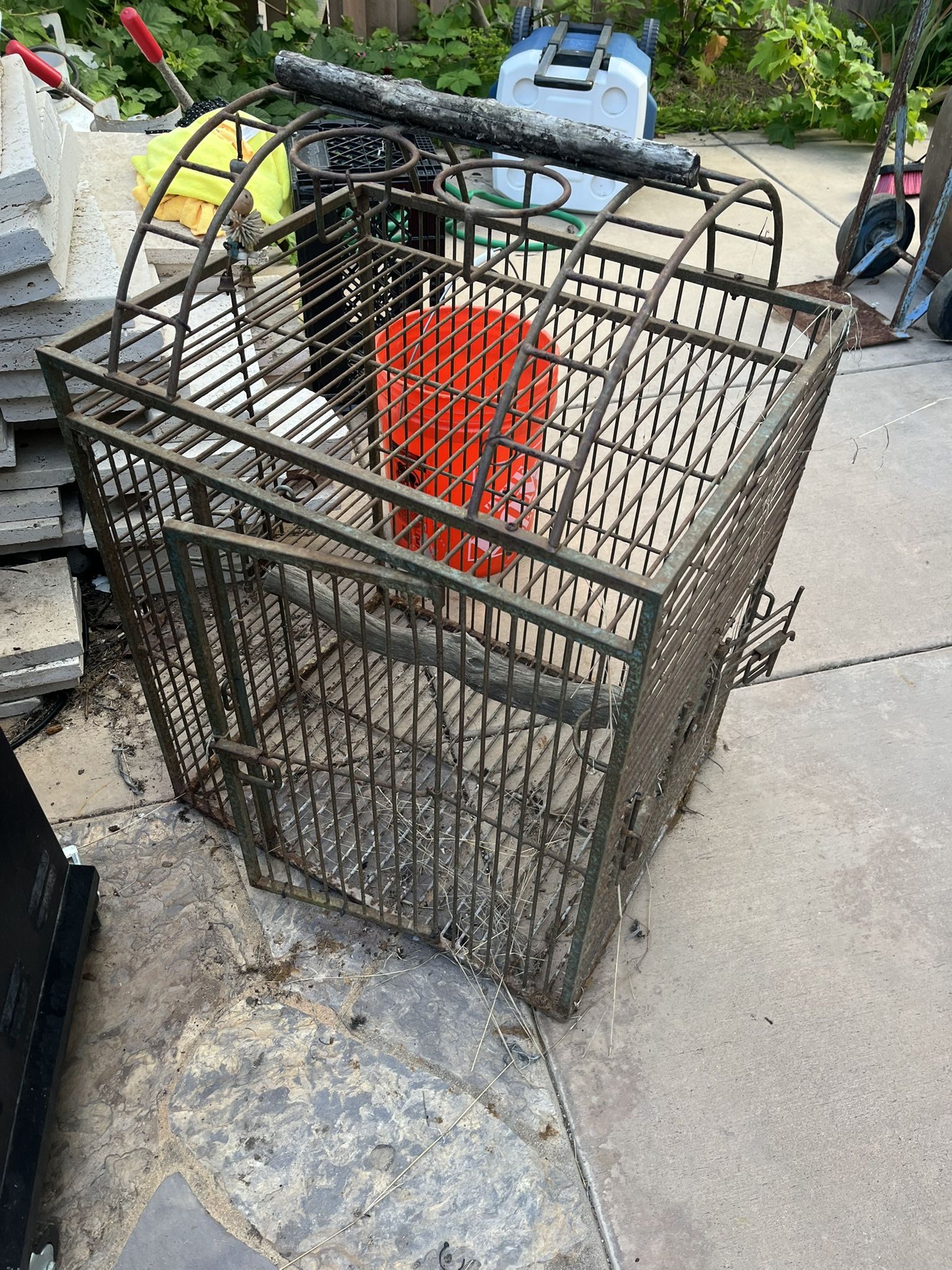 Bird Cage