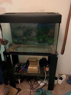 Aquarium