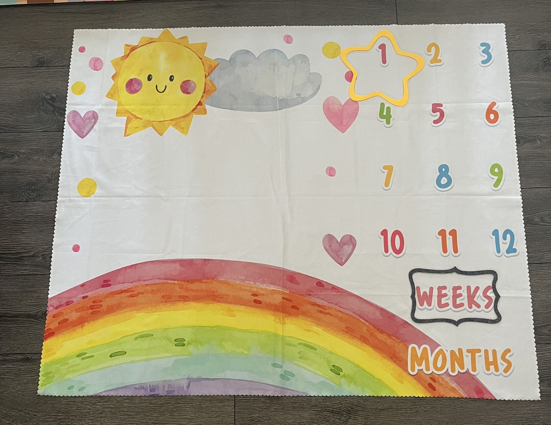 Baby Monthly Photo Background (cloth)