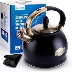 Stainless Steel Tea Kettle 