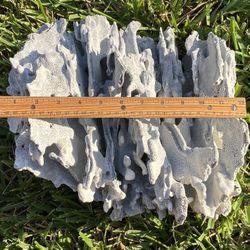 Blue Ridge Coral - Natural, Large Size
