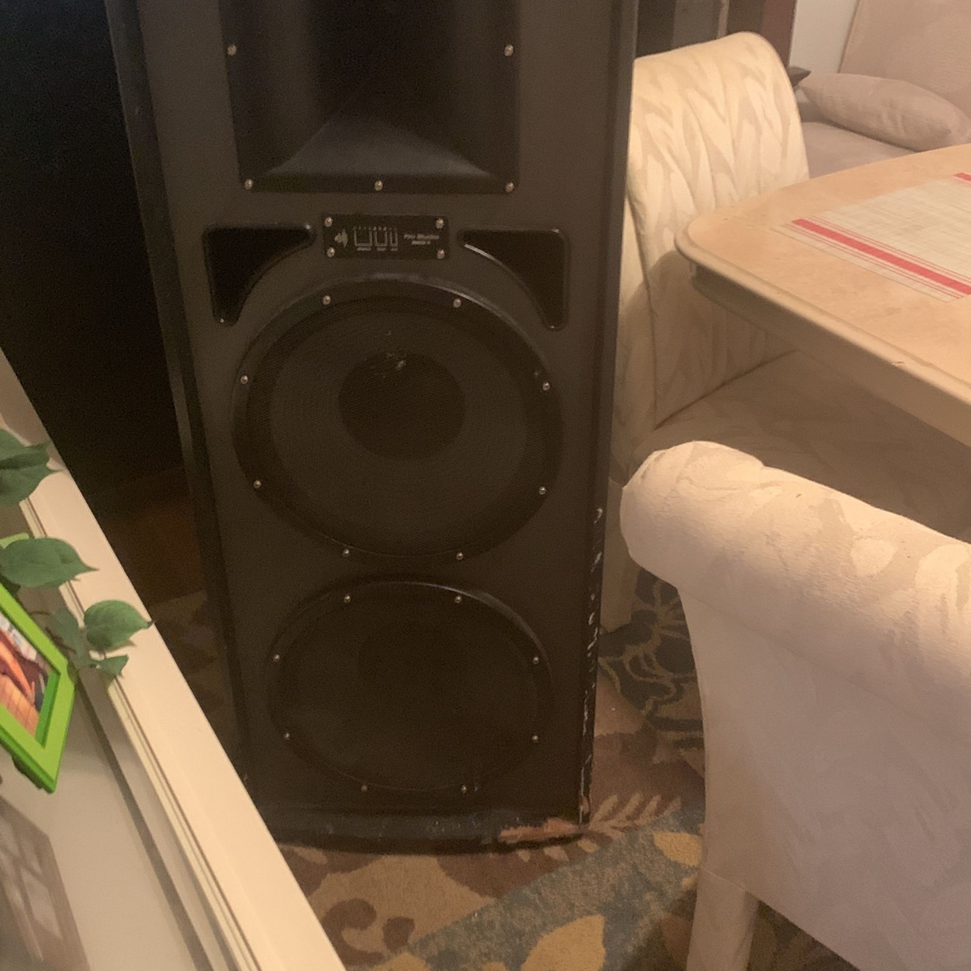 2 15 Inch Speakers