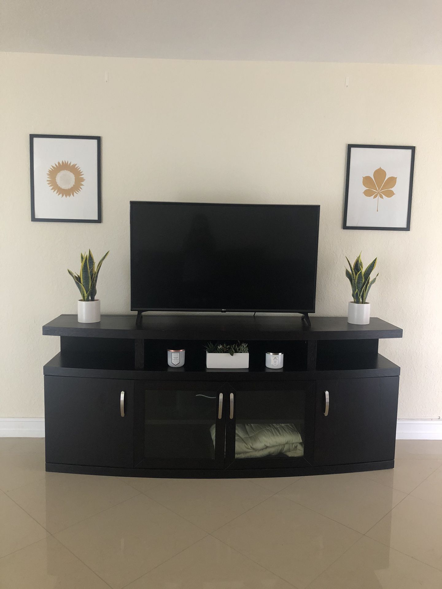 LARGE TV Stand