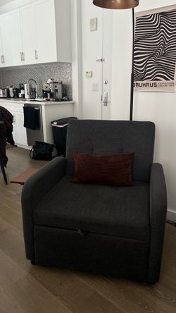 Couch chair - convertible sleeper