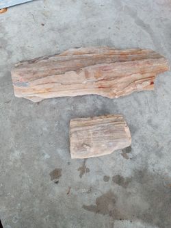 Petrified Wood
