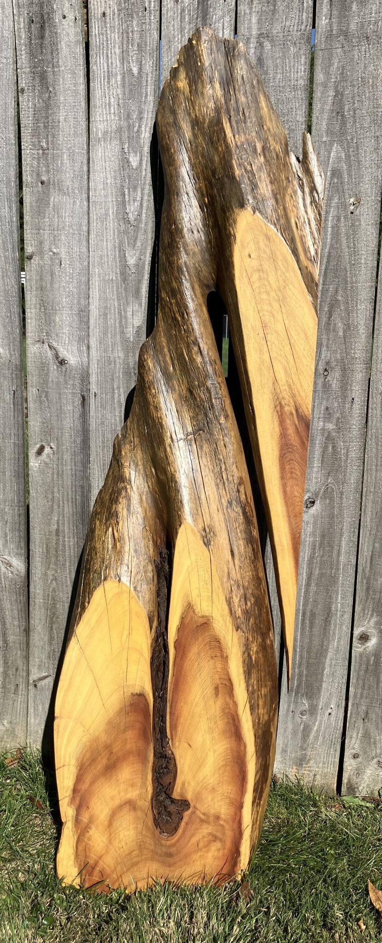 Wood Feature 