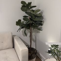 Faux Indoor Tree