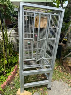 Bird Cage