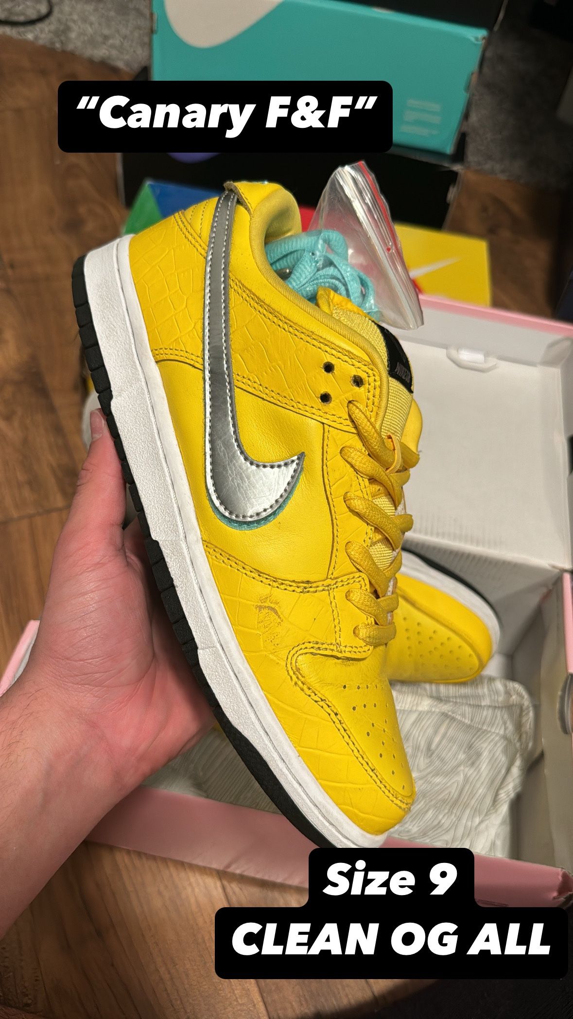 Nike Dunk Low Sb Canary Friends and Family