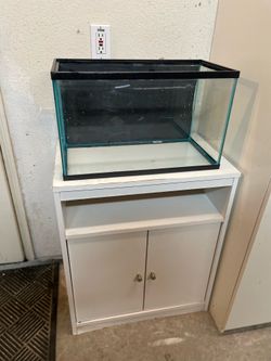 10-gallon fish tank + stand