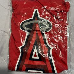 Long Sleeve Angels Hoodie