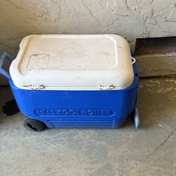 Ice Chests Rubbermaid And Igloo