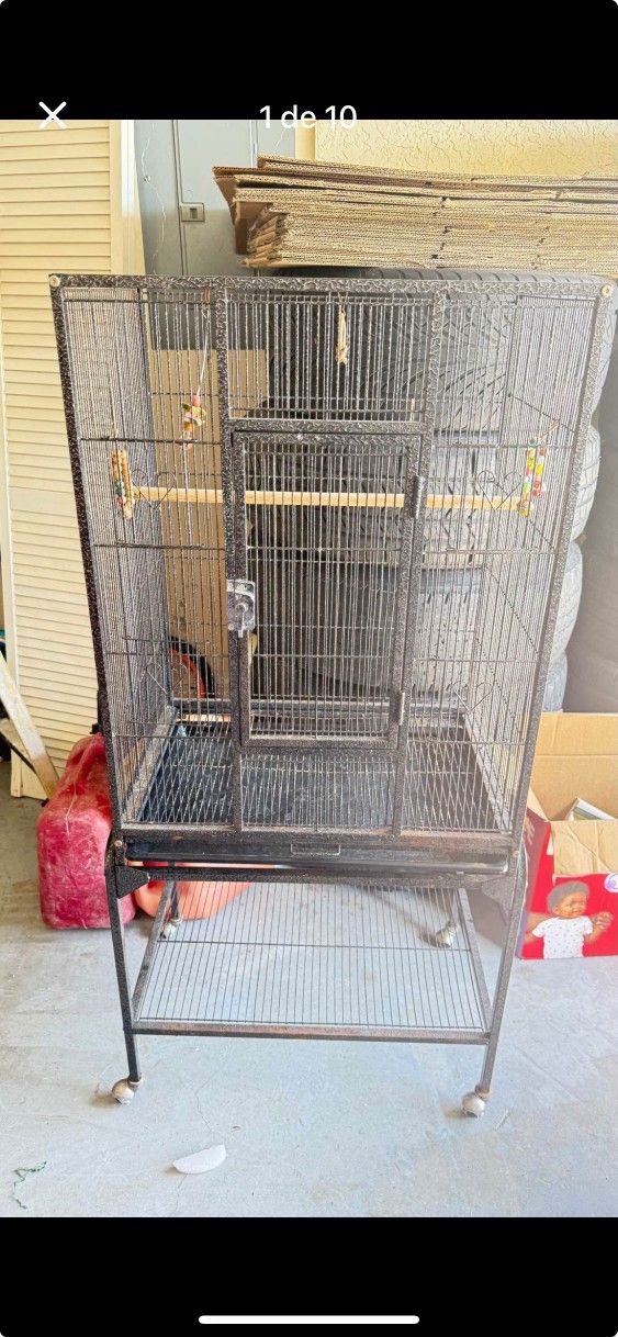 Bird Cage