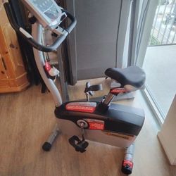Schwinn $199 Exercise Bike 