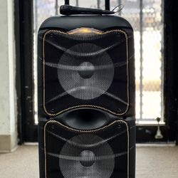 Portable Bluetooth Party Speaker with Lights and PA System
