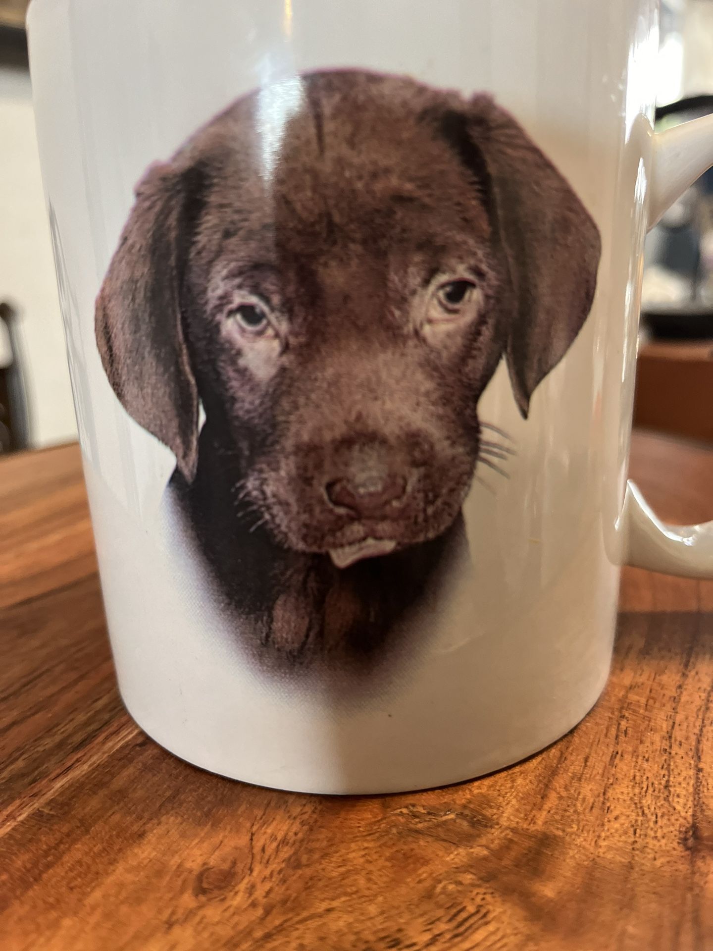 Chocolate Labrador Coffee/Tea Cup Large Capacity