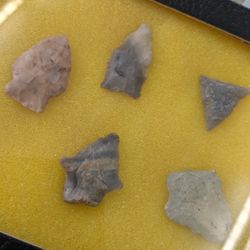 ARROW HEAD COLLECTION