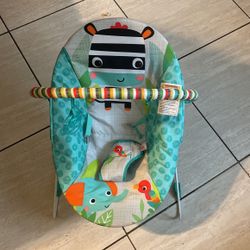 Baby Bouncer