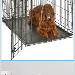 MidWest Single Door Pet/Dog Crate