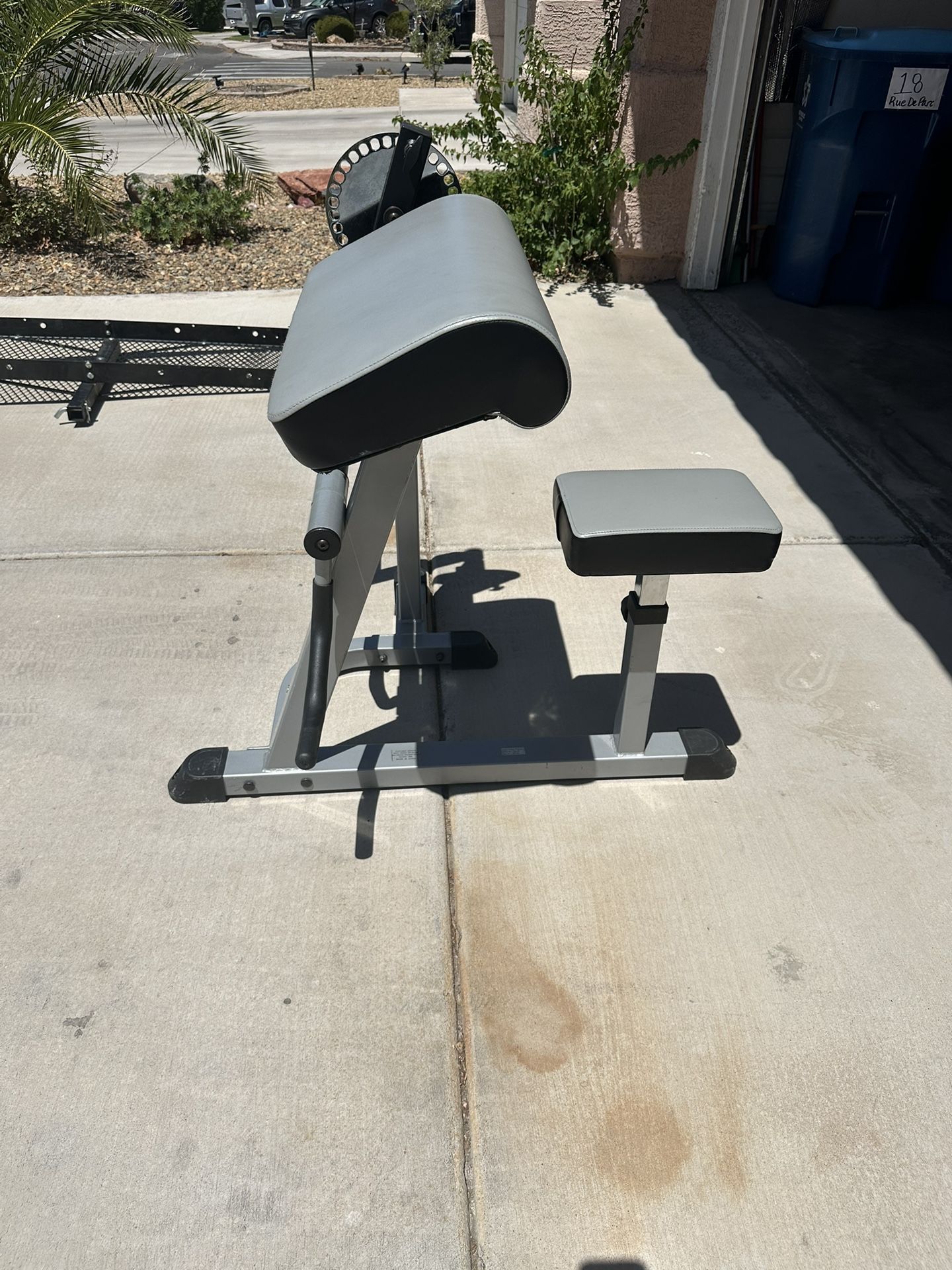 Iron Grip Bicep Machine