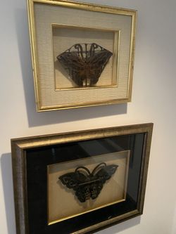 vintage butterfly iron metal print