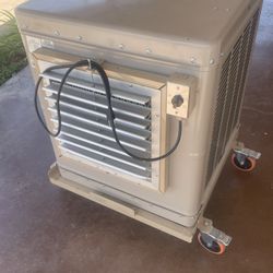 Coolers 