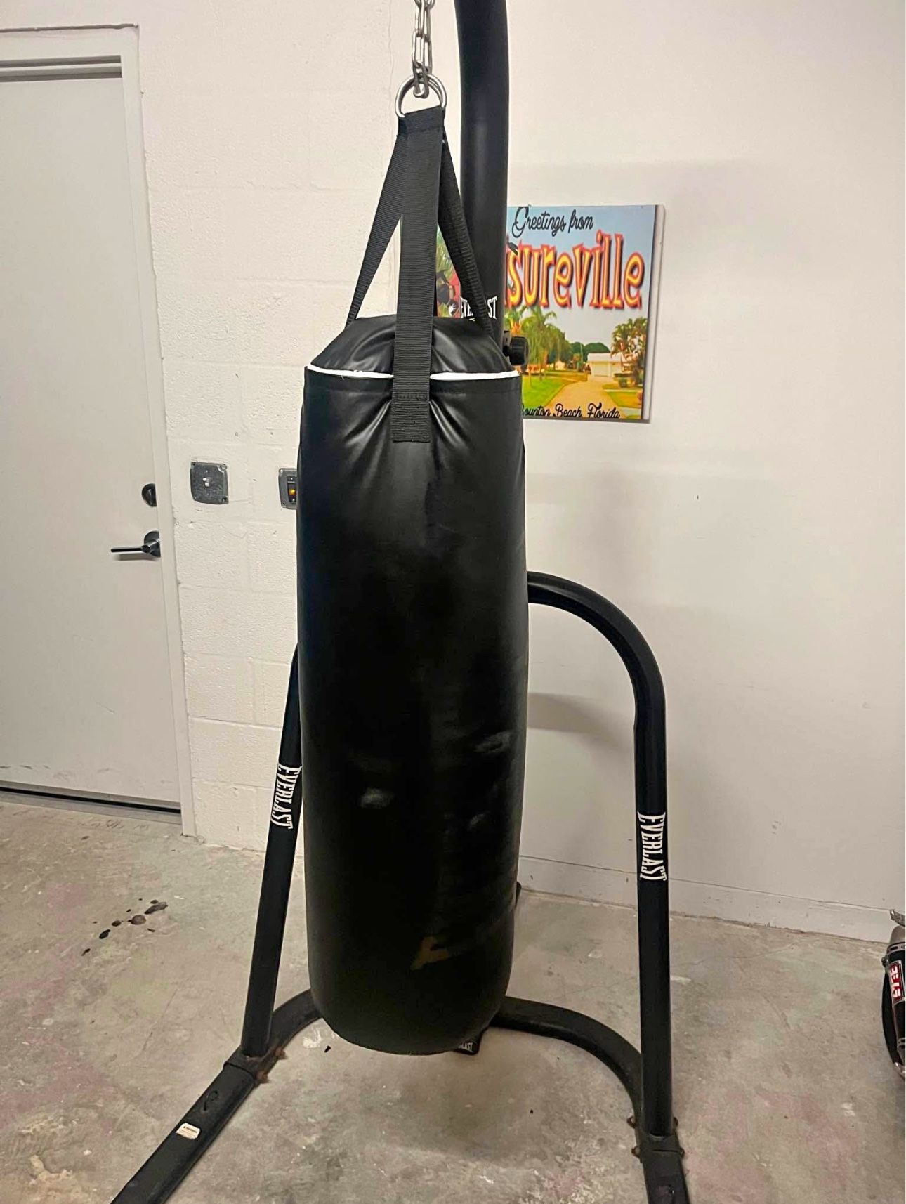 Everlast Punching Bag