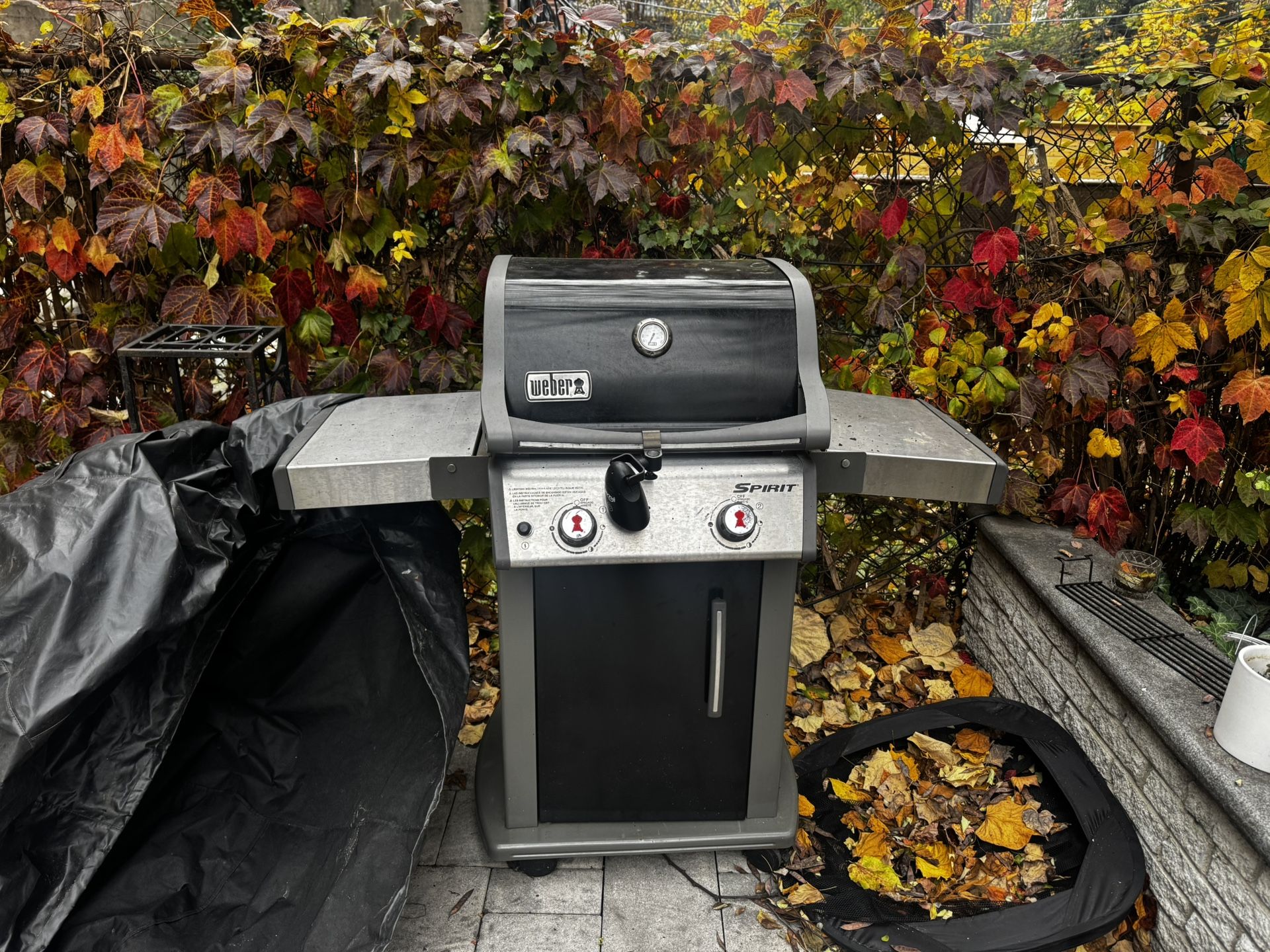 Weber Spirit Bbq E-210 + Propane Tanks