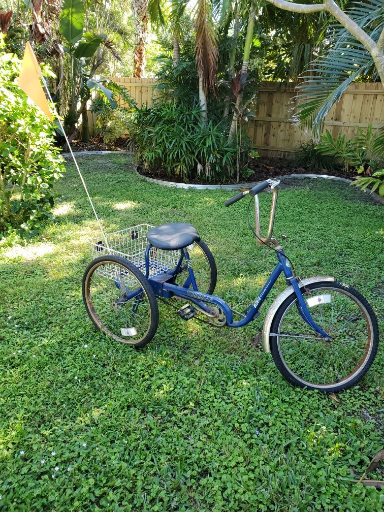 Adult tricycle