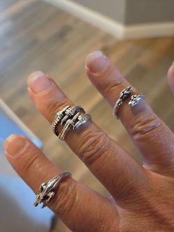 NEW 3 rings  snake and other reptile?