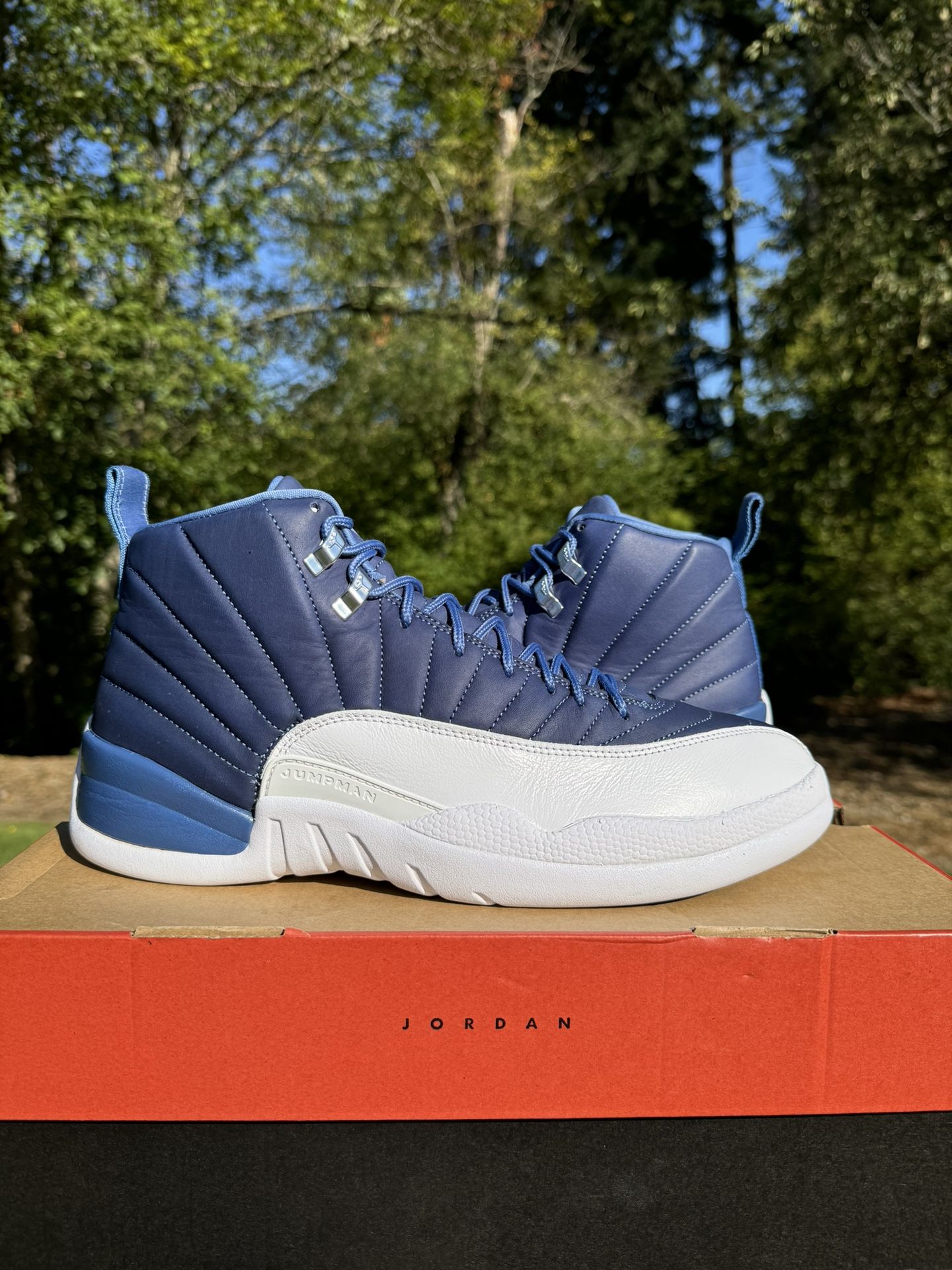 Air Jordan Retro 12 Indigo Size 12