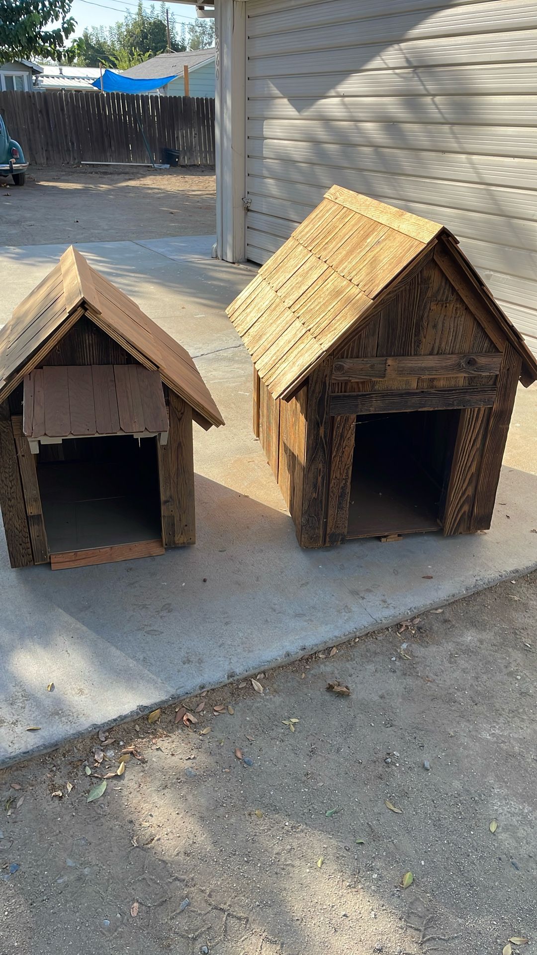 Dog House