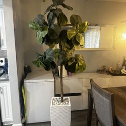 Decoration Artificial Fiddle Leaf Fig Tree