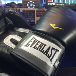Everlast Pro Style Training Gloves