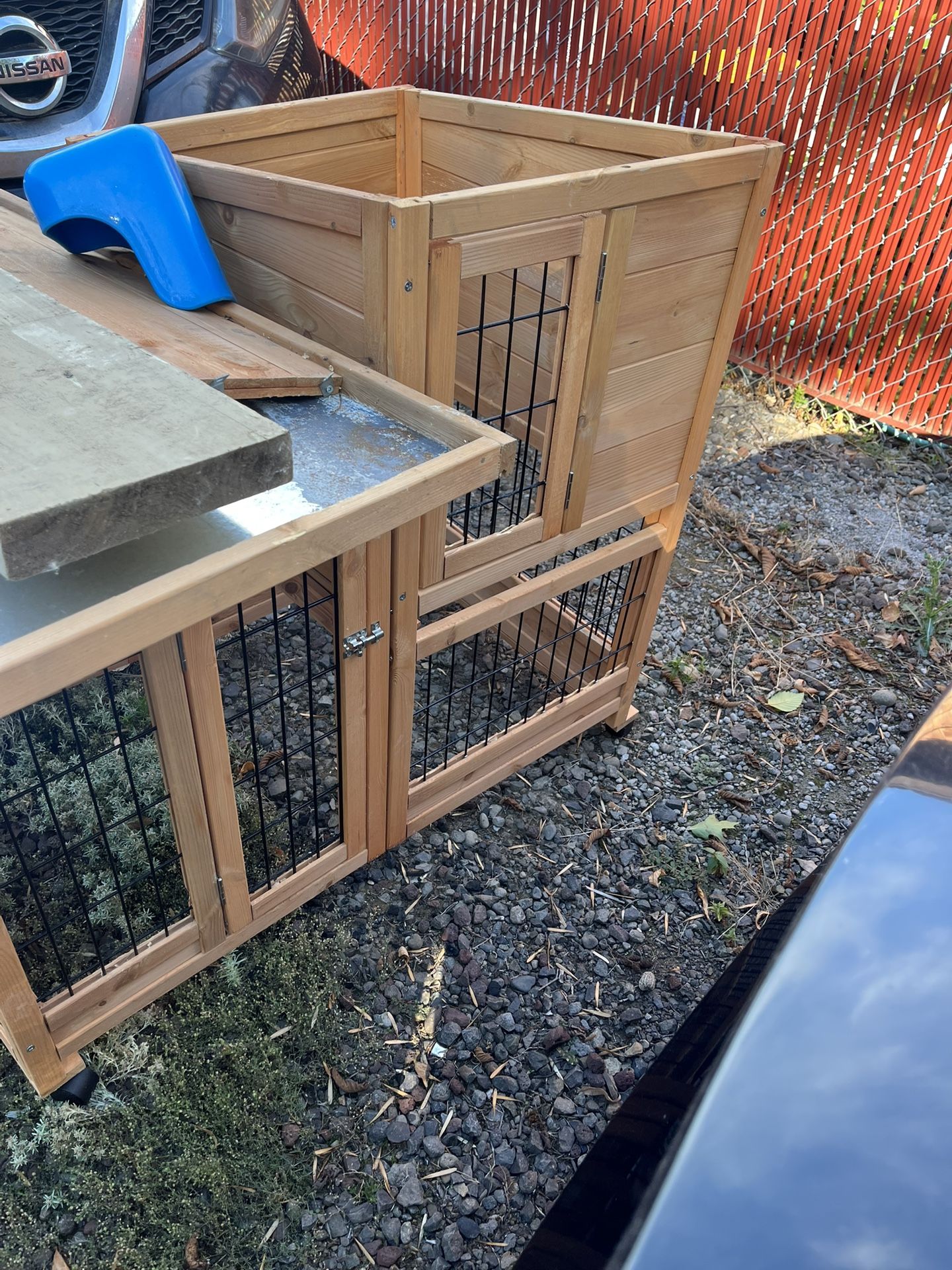 Bunny Cage