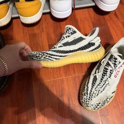 Yeezy 350 Zebra