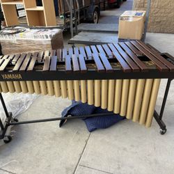 Xylophone  
