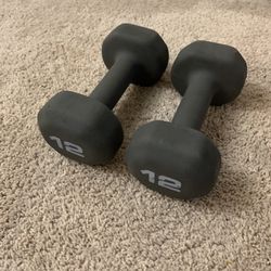 Dumbbells - Pair of 12s - Total 24 Pounds 