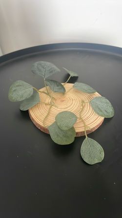 11 wooden candle or vase plates